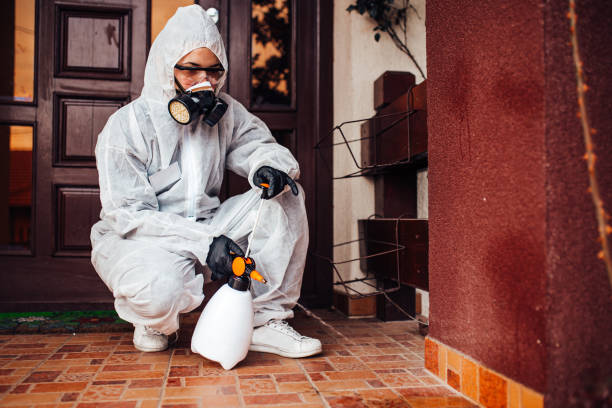 Reliable Cockroach Control contractor in Chandler, AZ by Nex Pest Control